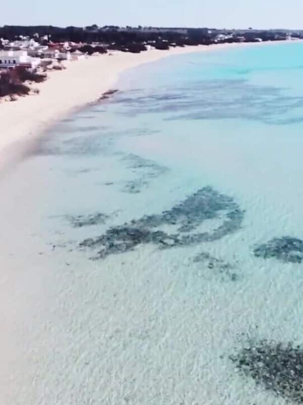 Plage à proximité, sable blanc, bar de plage