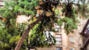 A red bicycle with a sign that reads "Hostel Koleso" and a gnome figure. - Hostel Koleso (Odesa)