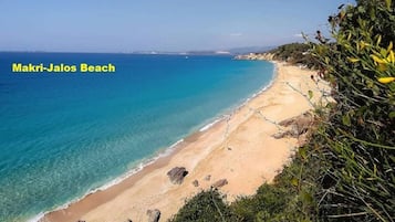 Playa en los alrededores, camastros y toallas de playa