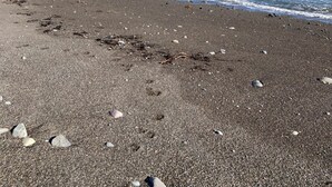 A beach with a rocky shoreline and waves crashing onto the shore.