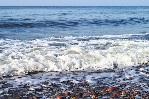 Pêche sur place