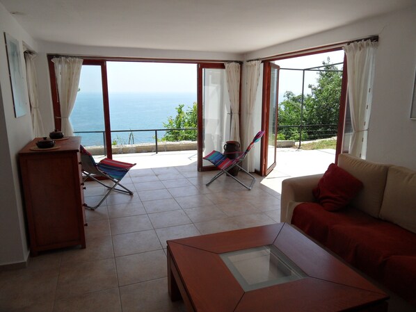 TV, DVD player, books, video library