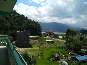 Puutarha