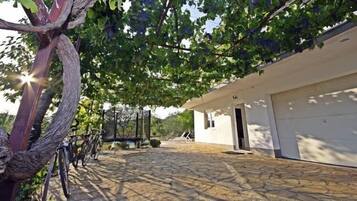 Khuôn viên nơi lưu trú