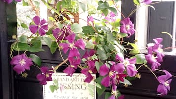 A window box with purple flowers and a sign that reads "MISSING - Reward for dog".