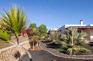 Property grounds - cozy finca to relax and be active (Triquivijate)