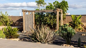 A garden with a wooden pergola, various cacti, and a stone wall in the background. - cozy finca to relax and be active (Triquivijate)