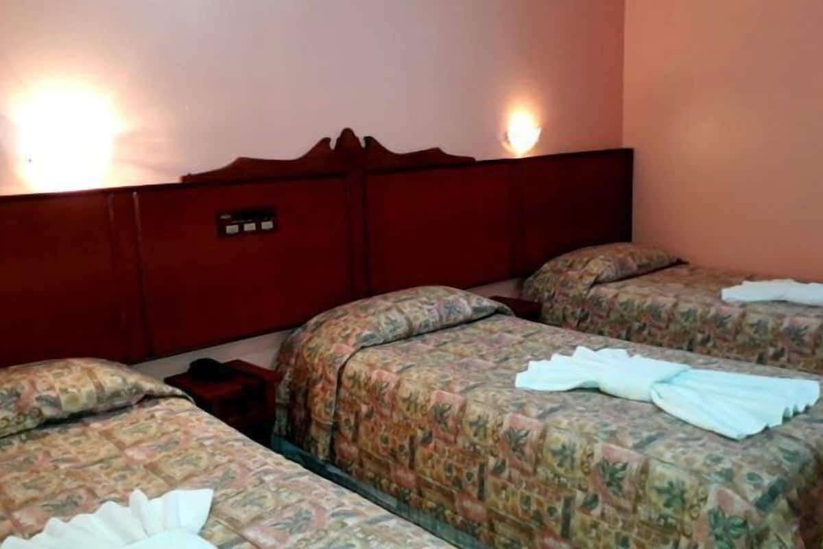 Minibar, iron/ironing board, WiFi (free)