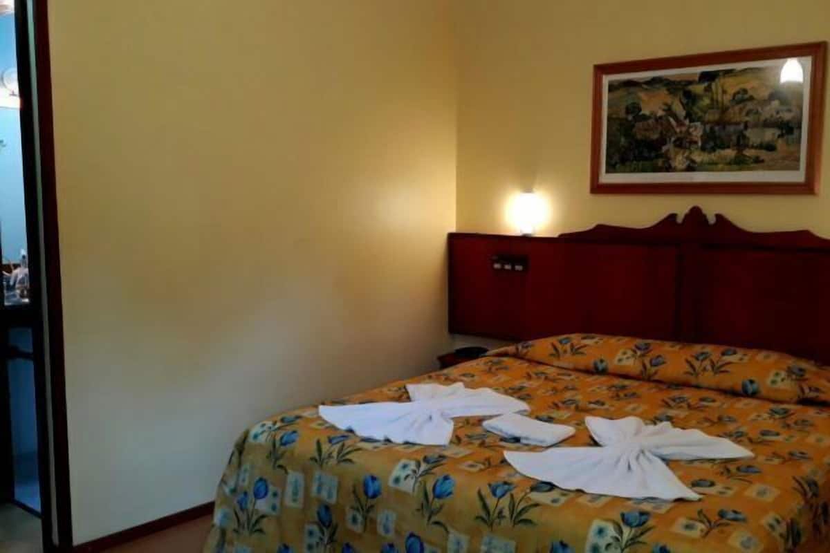 Minibar, iron/ironing board, WiFi (free)