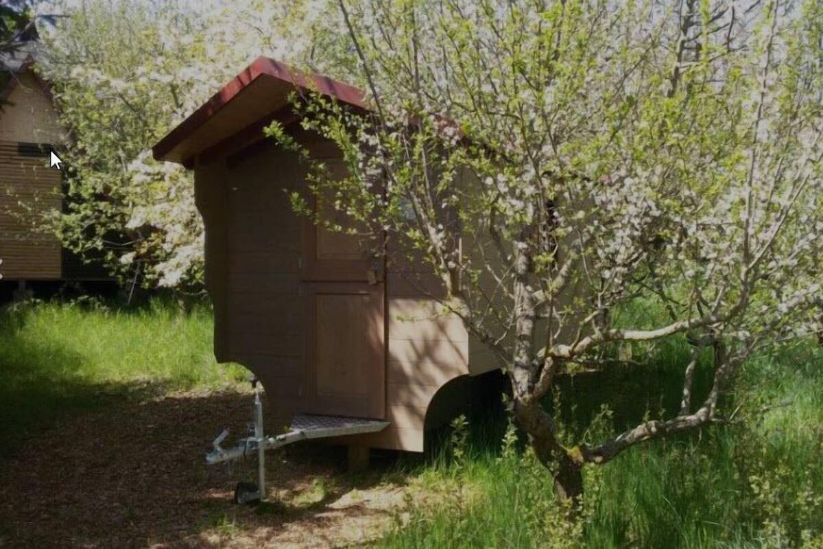 A small wooden structure with a sloped roof, possibly a shed or a birdhouse, situated next to a tree with green leaves.