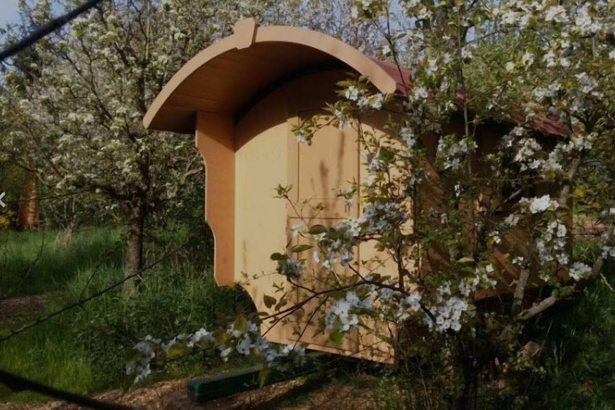 A wooden structure with a curved roof, surrounded by blooming trees.