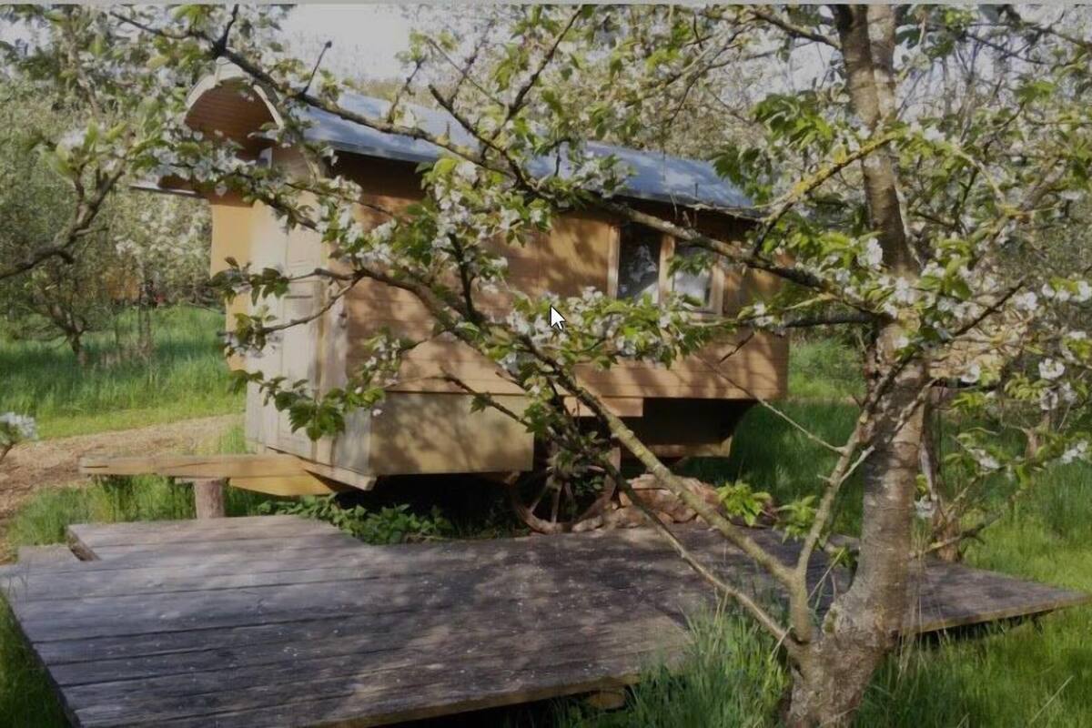A wooden structure with a sloped roof, possibly a cabin or shed, surrounded by lush greenery and a wooden deck.