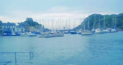 Hollies and Ilfracombe Harbour View
