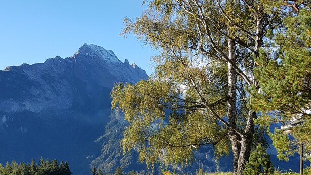 A mountainous landscape with grazing cows, a wooden fence, and vibrant flowers. - Pension Chalet Berkana (Hasliberg Reuti)