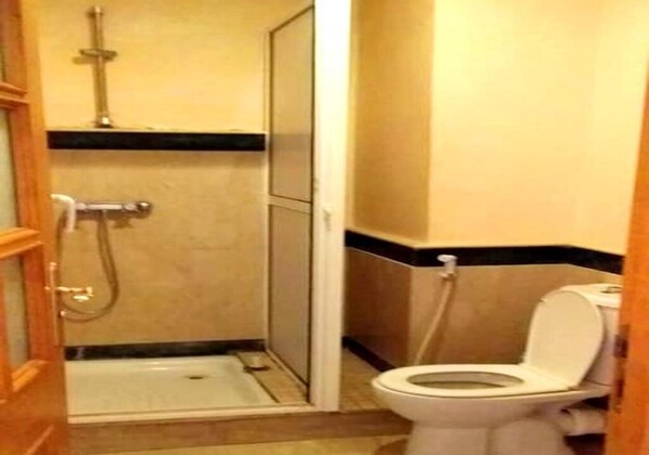 Une salle de bain avec une douche, des toilettes et un petit lavabo.