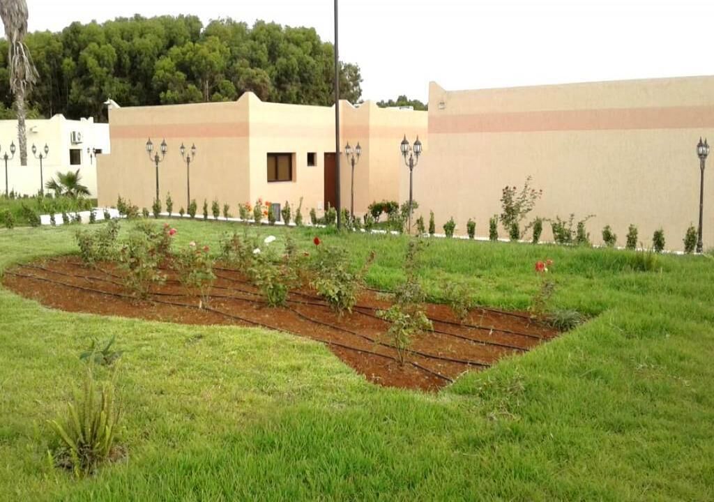 A landscaped garden with a pathway, a building with a beige facade, and a row of street lamps.