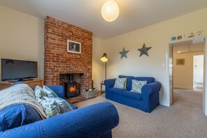 TV, fireplace, DVD player