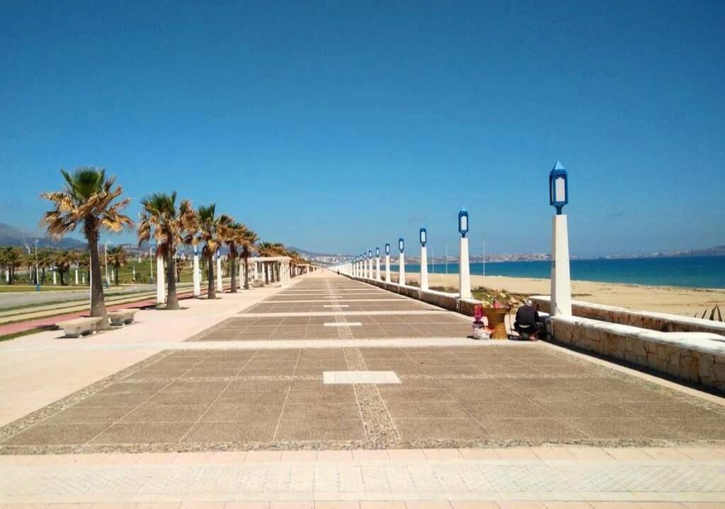 A long, straight pathway with palm trees on one side and a beach on the other, leading to a body of water.