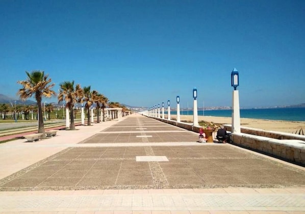 A long, straight pathway with palm trees and benches, leading to a beach.