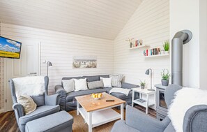 تلفزيون، مدفأة