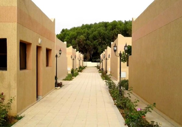 المنطقة المحيطة بالمنشأة