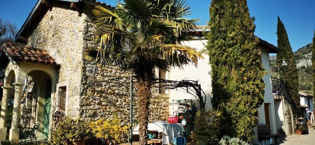 A stone building with a tiled roof, a palm tree, and a tall coniferous tree.