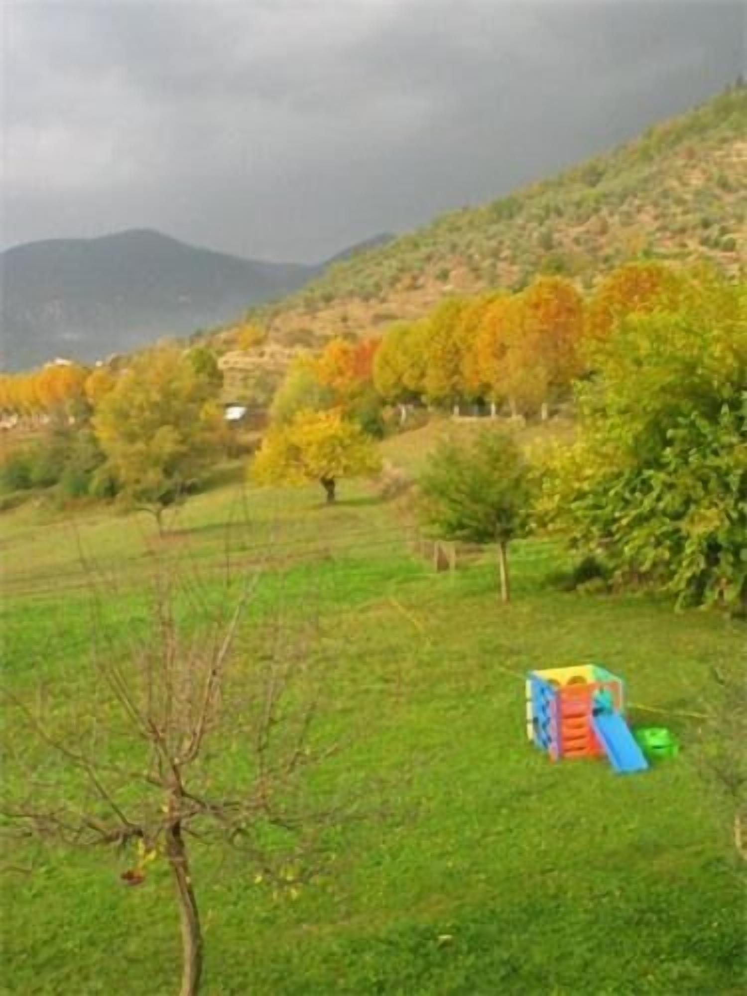Un campo cubierto de césped con una estructura de juegos colorida y un árbol en primer plano.