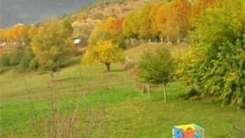 Un campo cubierto de césped con una estructura de juegos colorida y un árbol en primer plano.