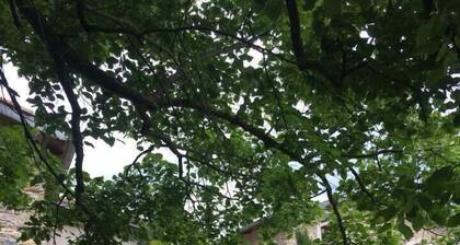 La Chapelle Saint Gervais