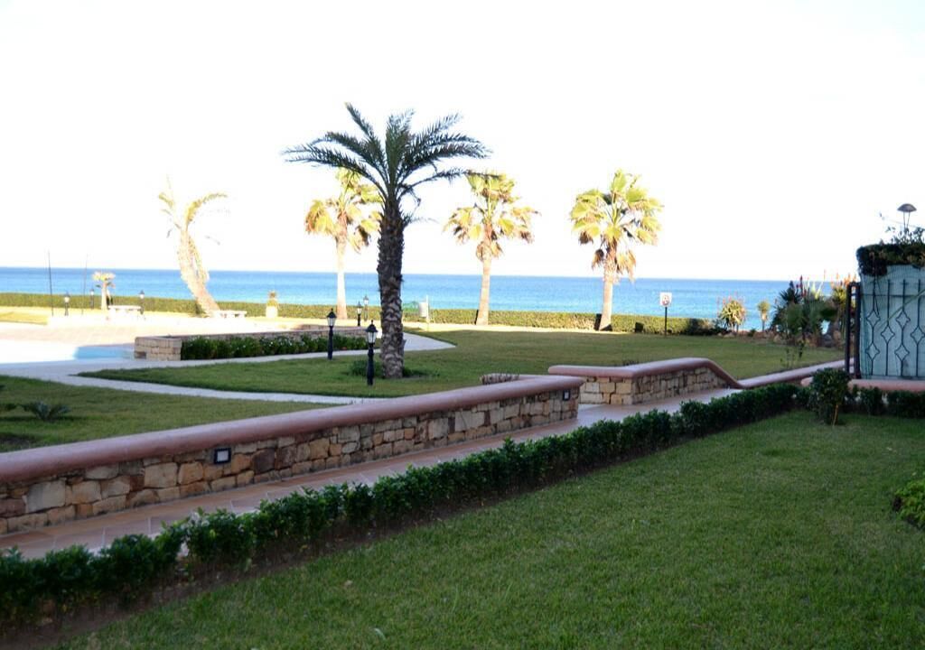 Zona ajardinada con palmeras, un sendero de piedra y vistas al mar.
