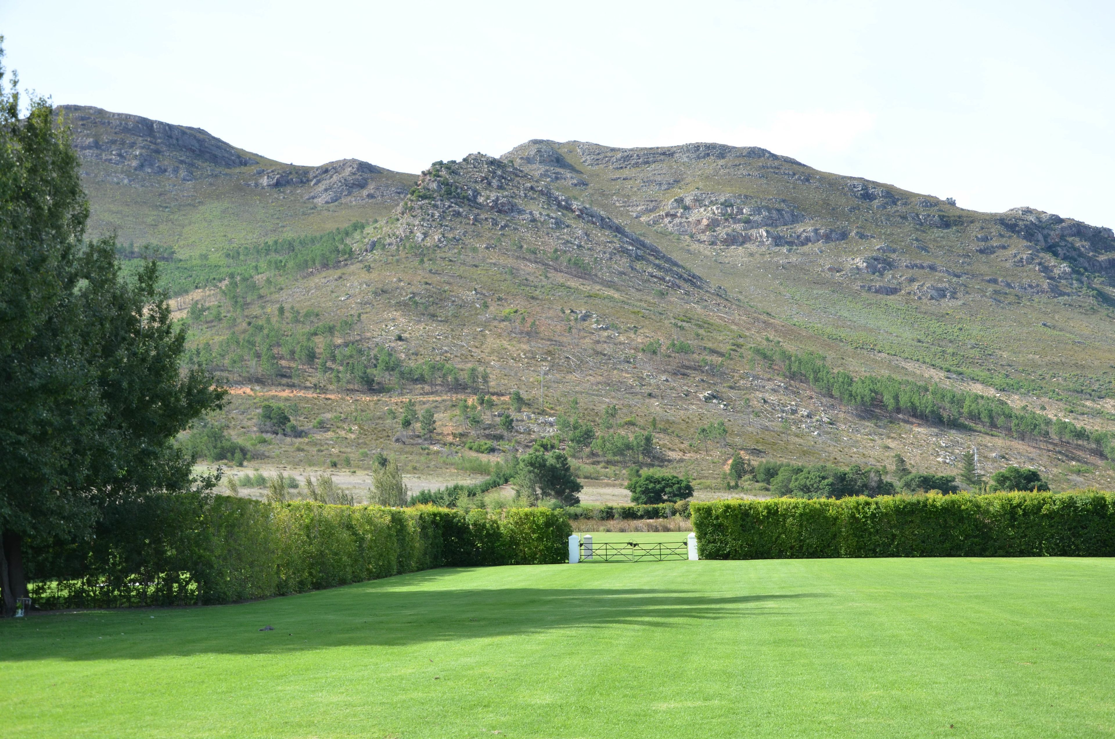 A grassy field with a gate, surrounded by trees and mountains in the background.