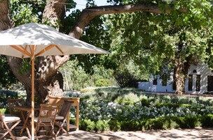 Un patio con una mesa y sillas bajo un paraguas grande, rodeado de abundante vegetación y flores blancas.