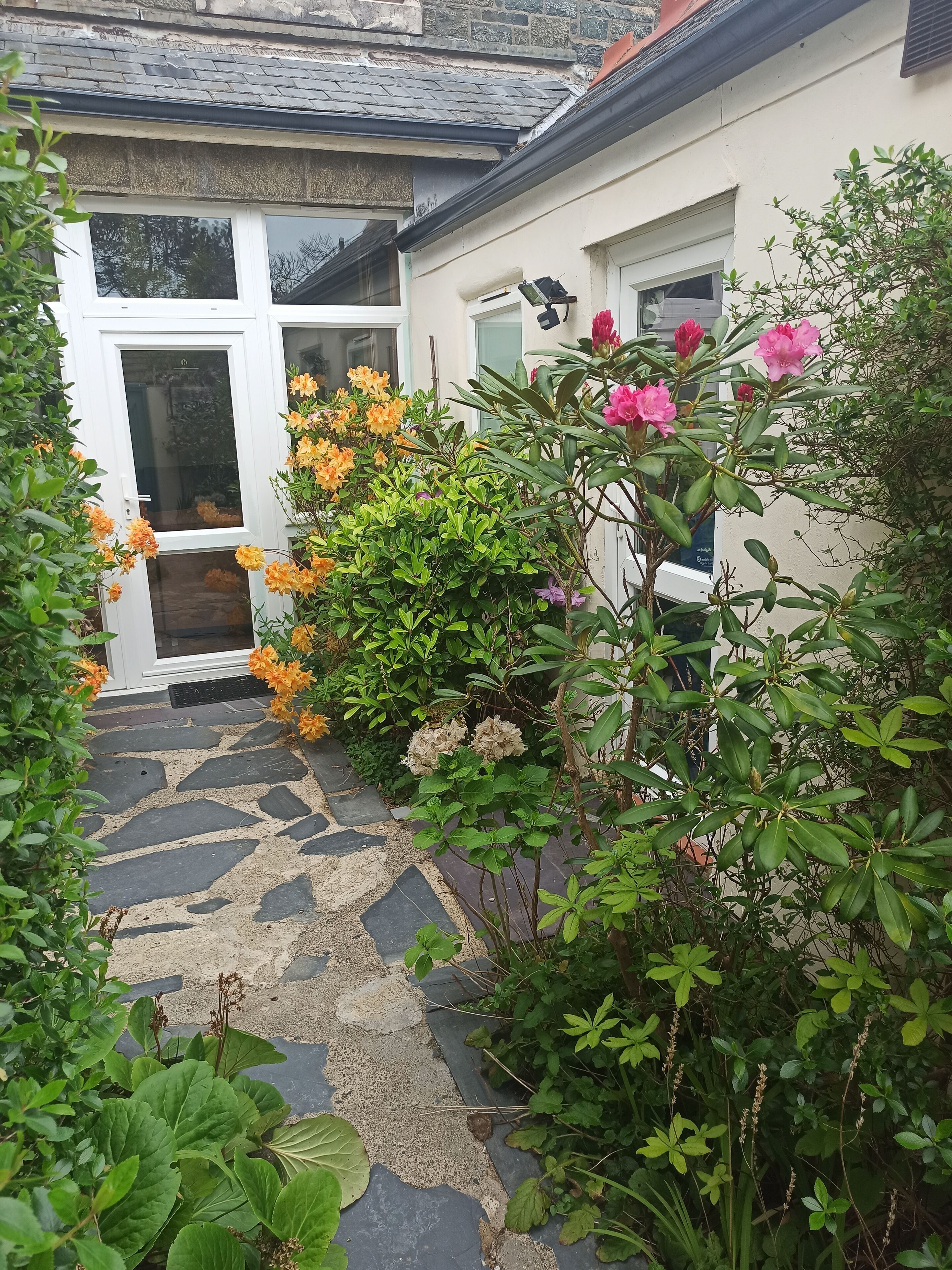 A stone pathway leading to a white door, surrounded by lush greenery and flowering plants.
