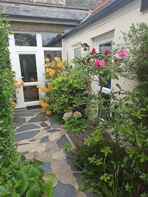 House | Property grounds