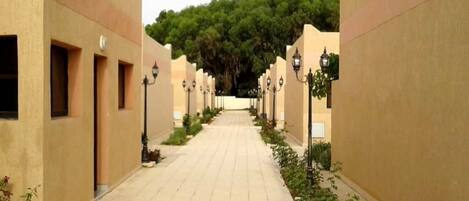 Stroll through the serene corridor lined with lush greenery and street lamps, surrounded by a dense forest.