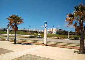 A paved walkway with palm trees, a street lamp, and buildings in the background.