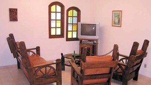 تلفزيون، مدفأة، مشغل دي في دي، ستيريو