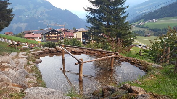 Hiking - Pension Gemshorn (Hainzenberg)