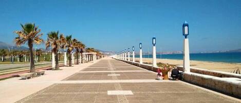 A long, straight pathway with palm trees on one side and a beach on the other, leading to a body of water.
