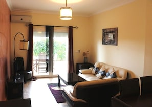 تلفزيون، مشغل دي في دي