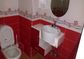 Regadera, bidet, toallas 