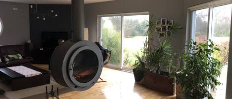 TV, videospill, DVD-spiller og bøker