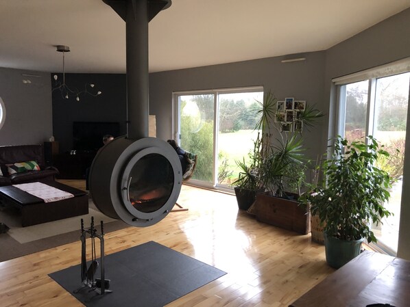 TV, video games, DVD player, books