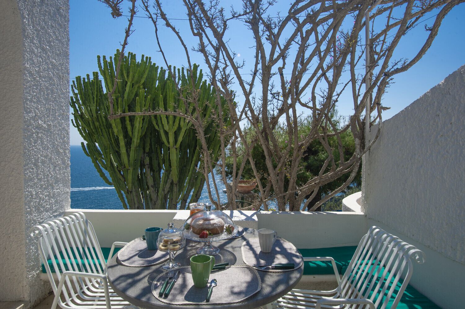 Ein Tisch für zwei Personen mit Blick auf das Meer und Kakteen.
