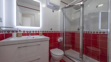 Shower, hair dryer, bidet, towels