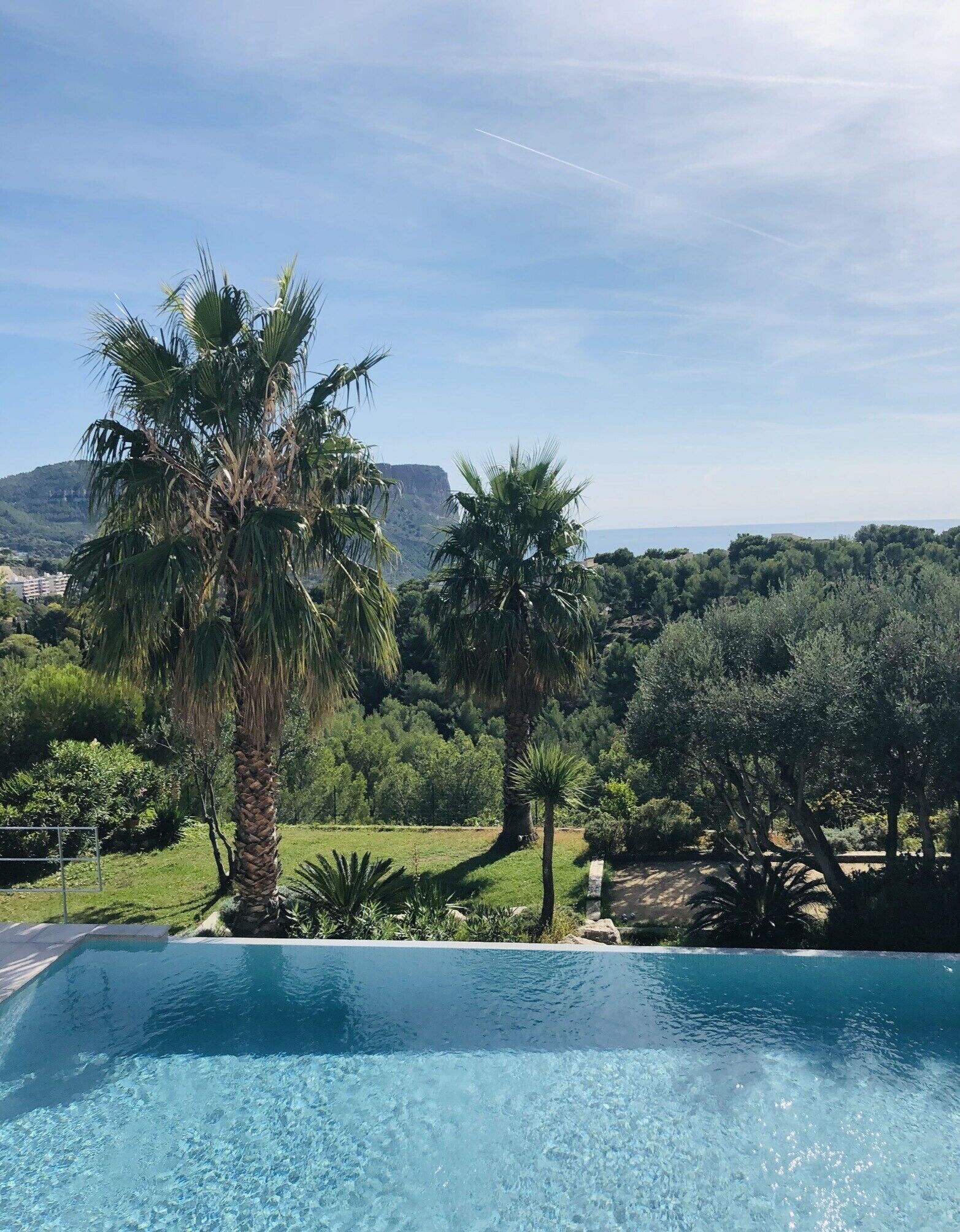 A clear blue swimming pool with a view of palm trees and a mountainous landscape in the background.