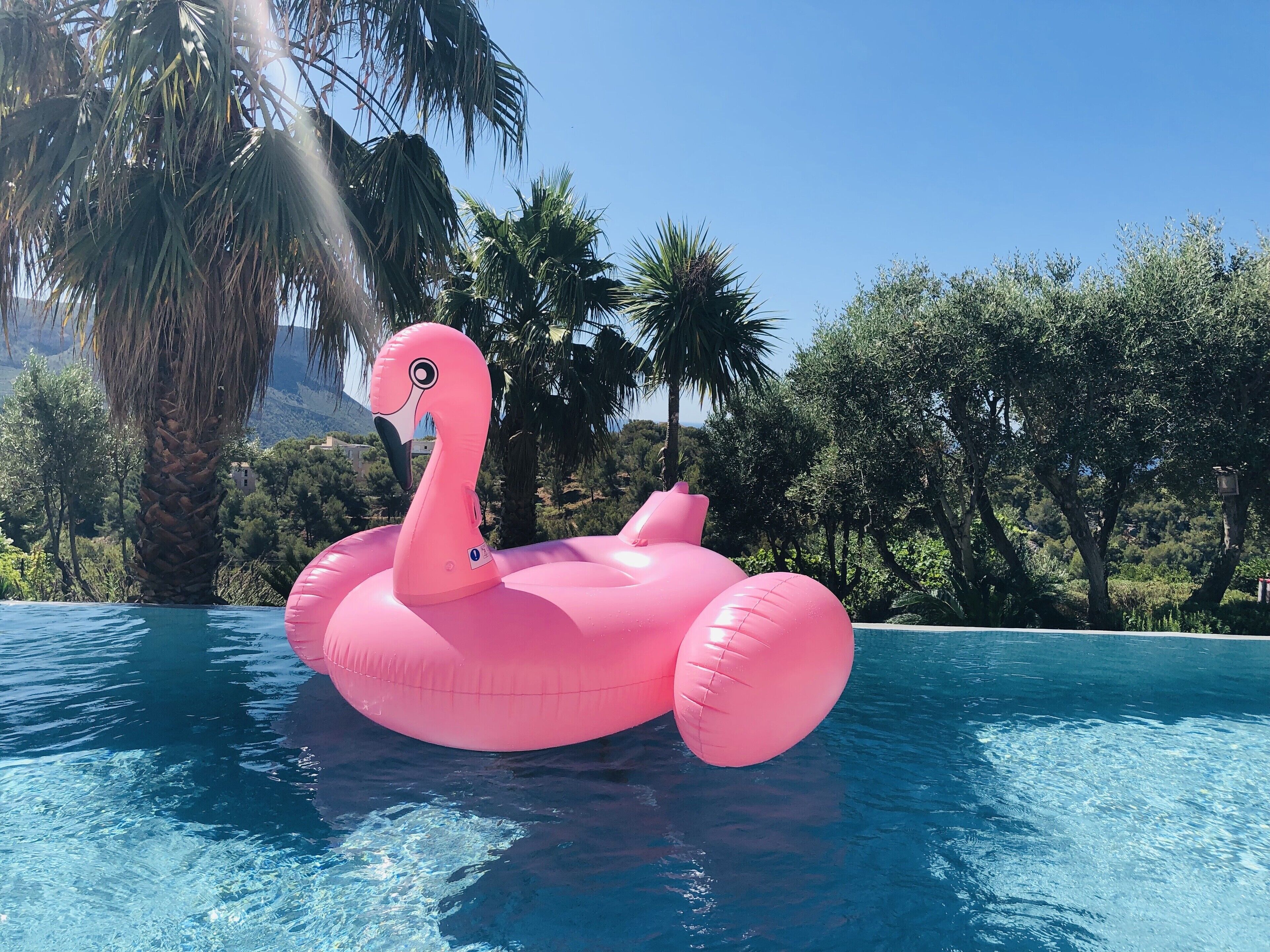 Vaaleanpunainen, puhallettava flamingo kelluu uima-altaassa, jonka ympärillä on palmuja ja muuta vehreää kasvillisuutta.