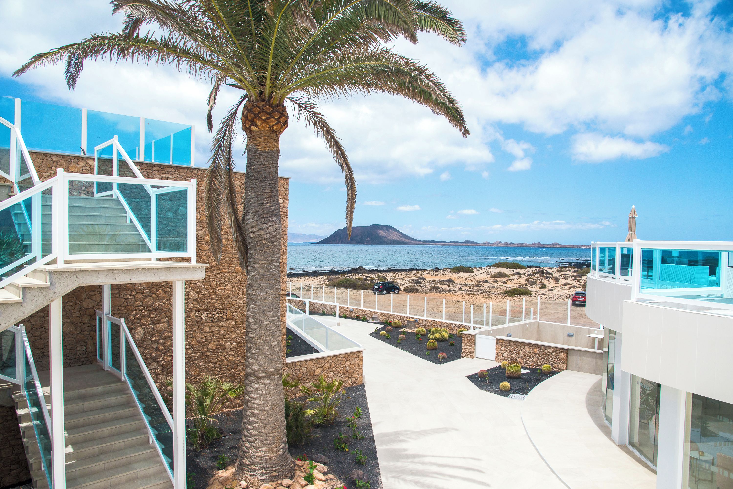 A modern building with a staircase, palm tree, and a view of the sea.