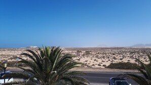 Vistas al desierto