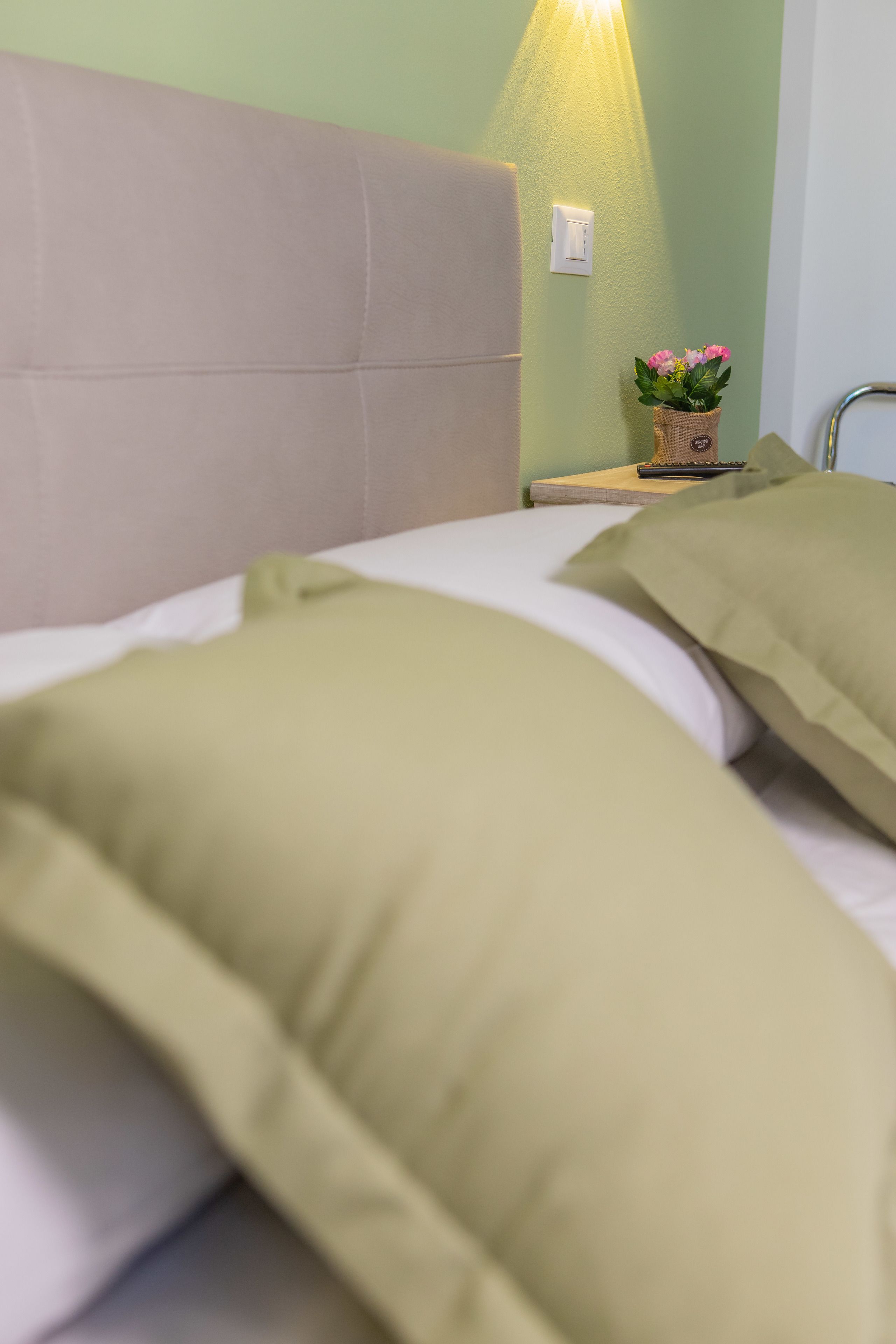 Ein Bett mit grünen Kissen und einem Kopfteil, ein Nachttisch mit Lampe und Pflanze sowie eine Steckdose.